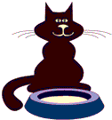 cat drinking