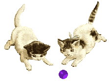 cat ball