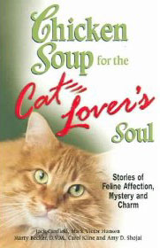 chicken soup book