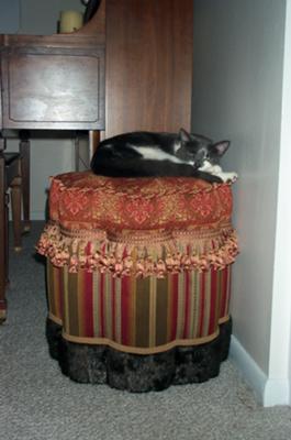 Night, Night Kitty